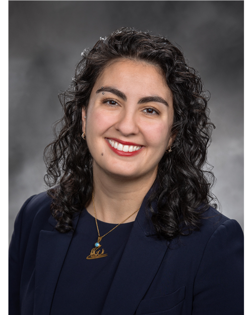 Portrait of Representative Farivar