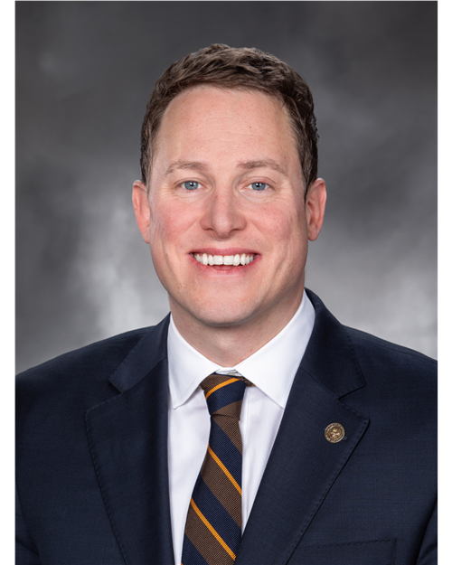 Portrait of Representative Timmons