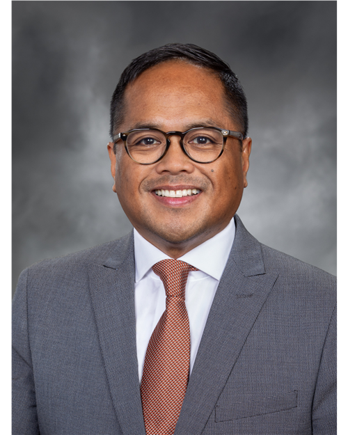 Portrait of Representative Obras